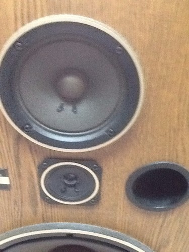 cs g303 pioneer